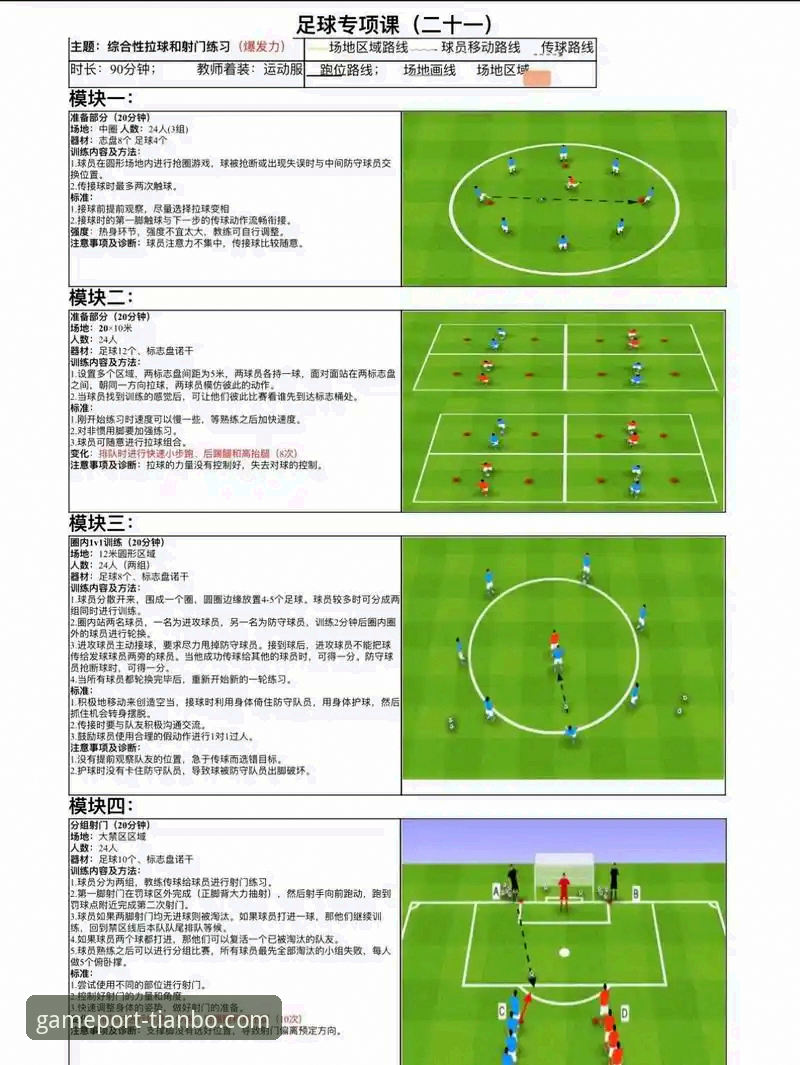 捷克足球20年重返世界杯的观赛必备知识与实用技巧